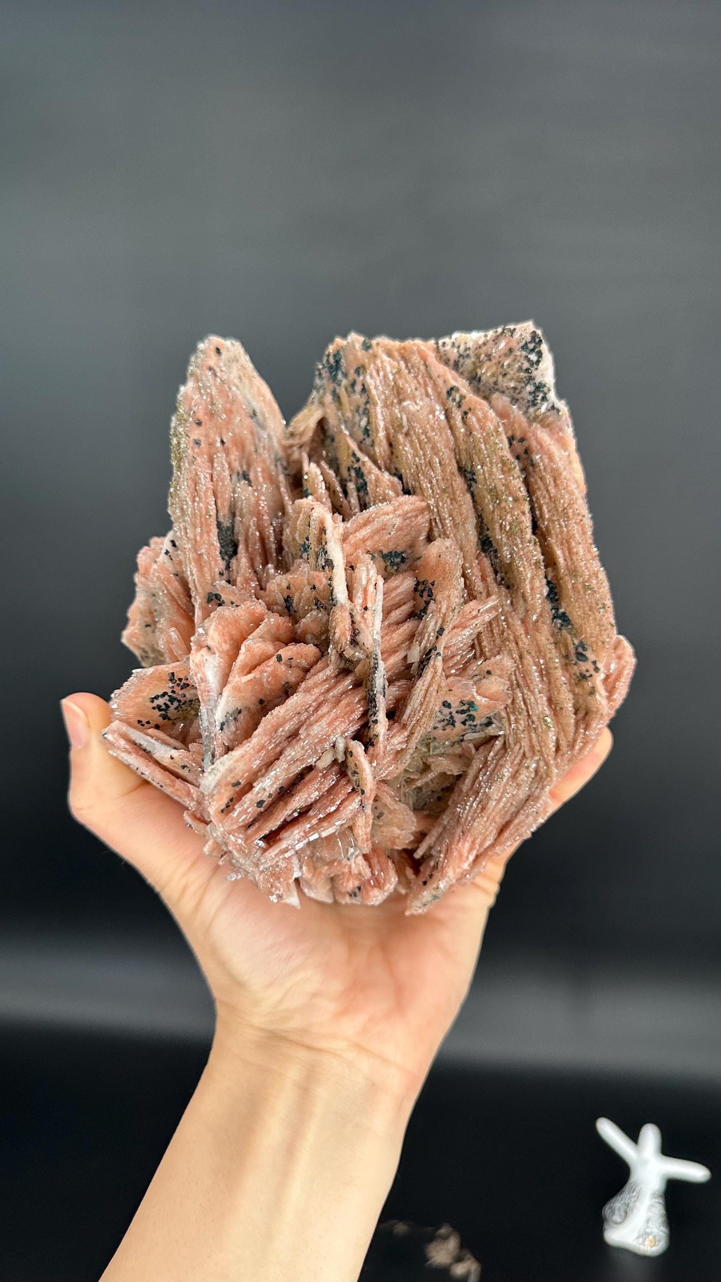 Red Desert Rose Selenite & Barite – The Stone of Grounded Protection, Transformation