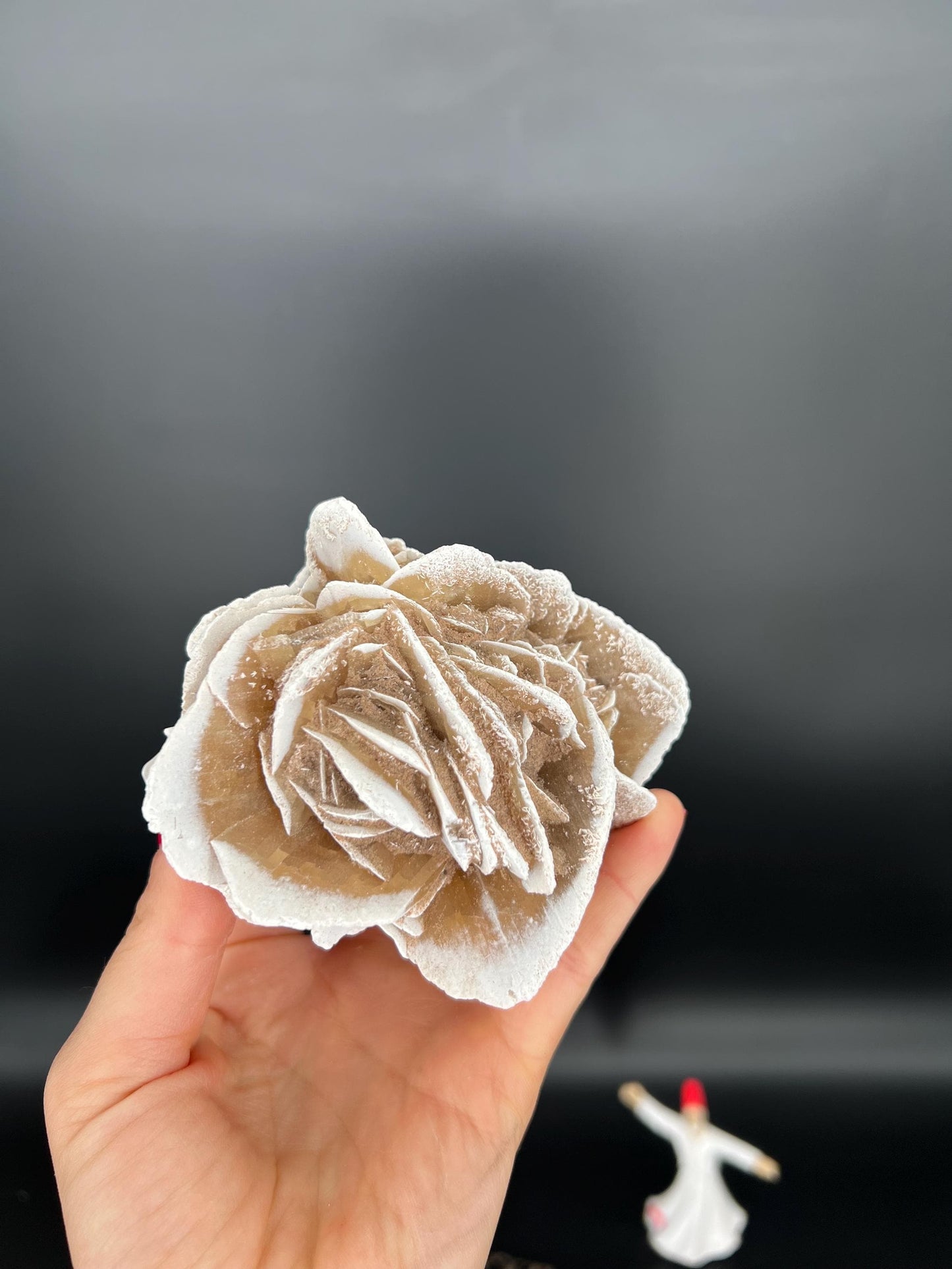 Natural Desert Rose Selenite Crystal Unique Gypsum Flower for Energy Cleansing Protection and Meditation