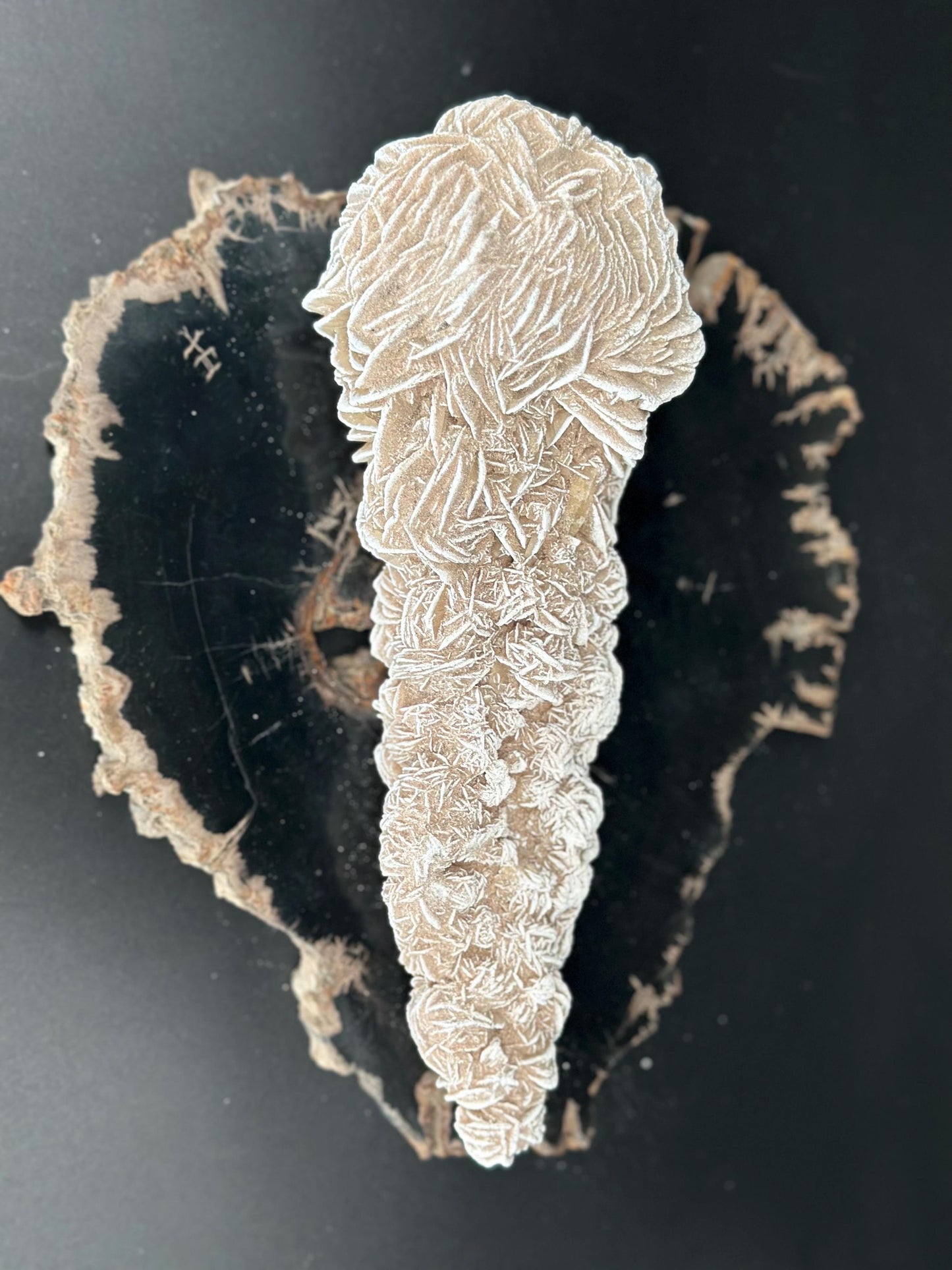 White Desert Rose Selenite Cluster Natural Gypsum Flower Crystal for Protection Energy Cleansing and Meditation