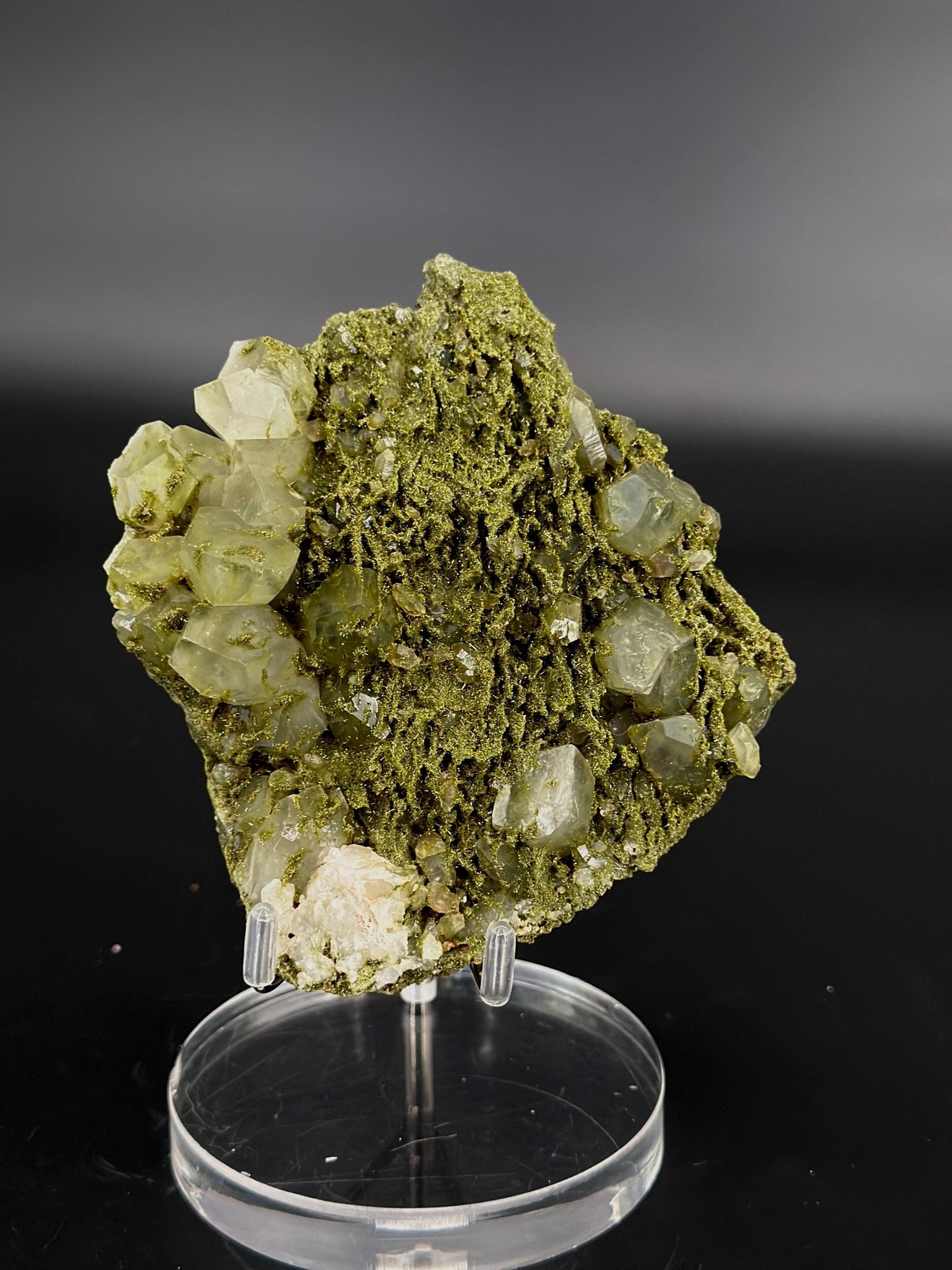 Forest Epidote and Quartz – “The Stone of Transformation and Growth”