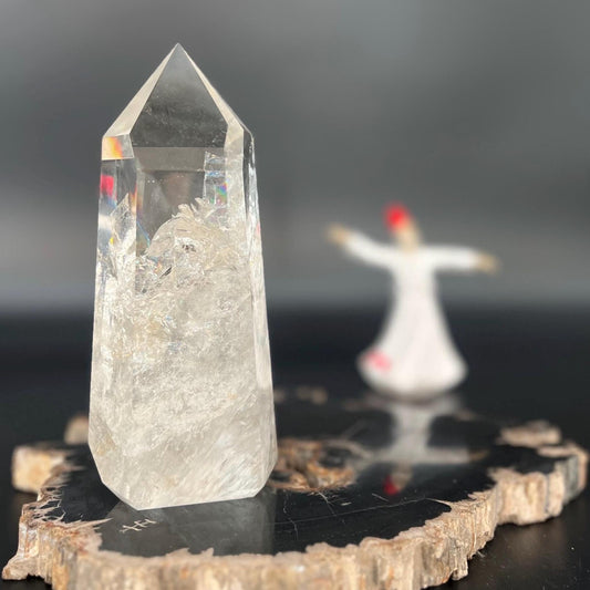 Exquisite High-Quality Clear Quartz with Rare Bear Totem Inclusion – Powerful Spirit Crystal