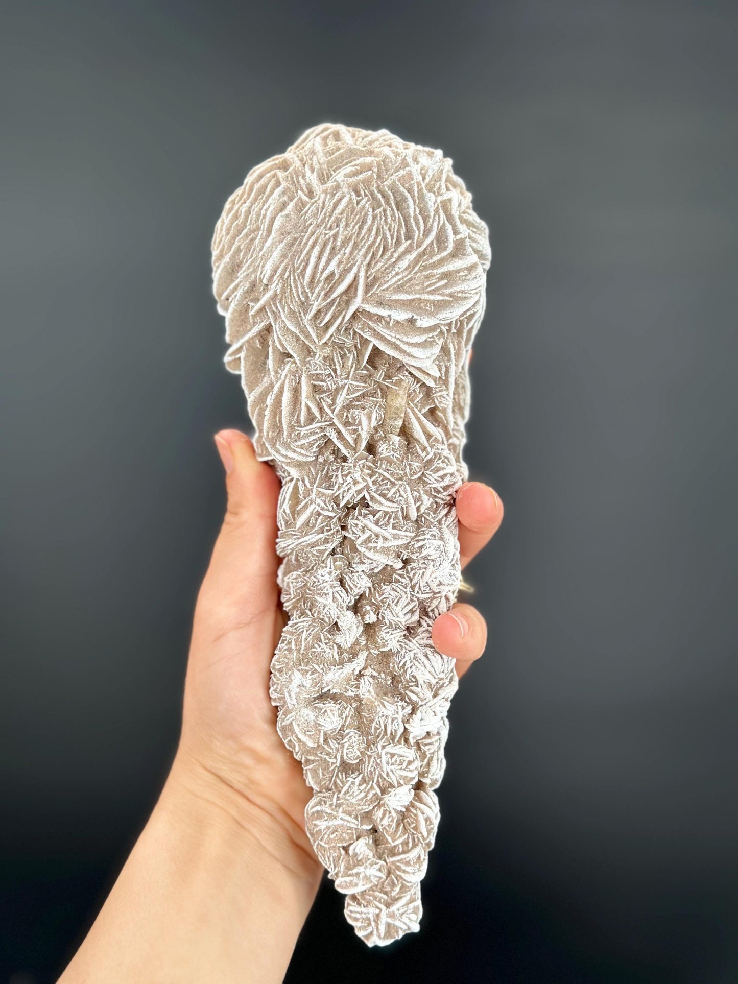 White Desert Rose Selenite Cluster Natural Gypsum Flower Crystal for Protection Energy Cleansing and Meditation