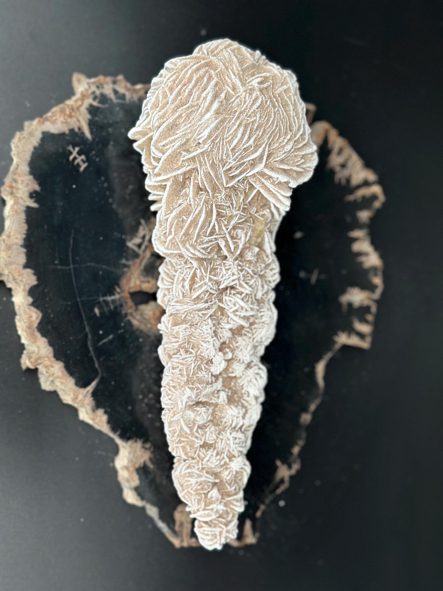 White Desert Rose Selenite Cluster Natural Gypsum Flower Crystal for Protection Energy Cleansing and Meditation