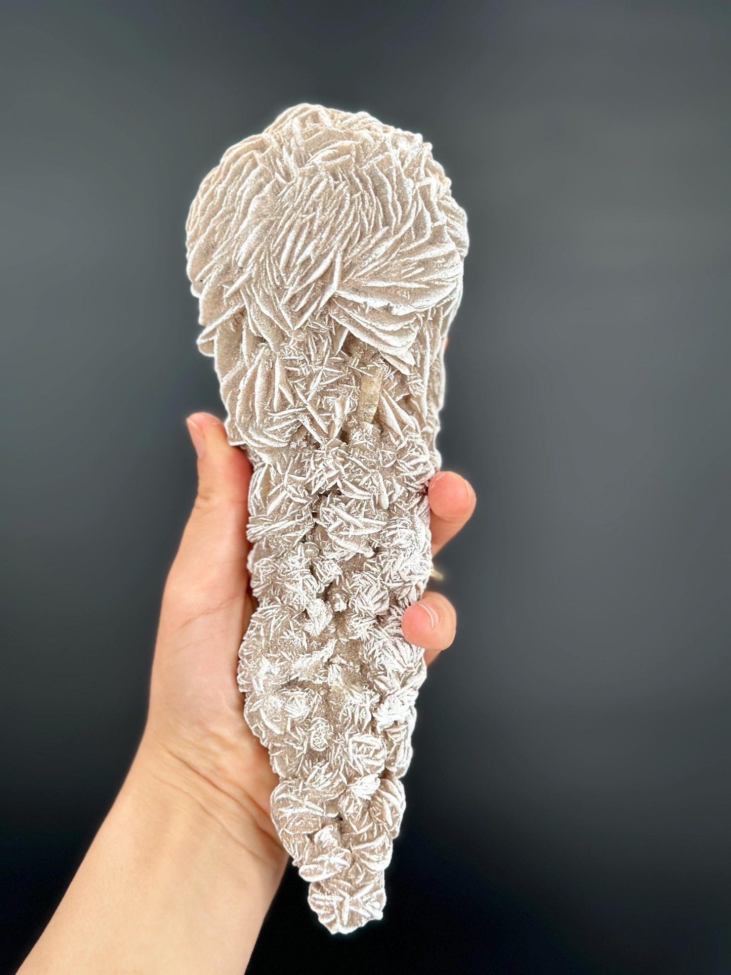 White Desert Rose Selenite Cluster Natural Gypsum Flower Crystal for Protection Energy Cleansing and Meditation