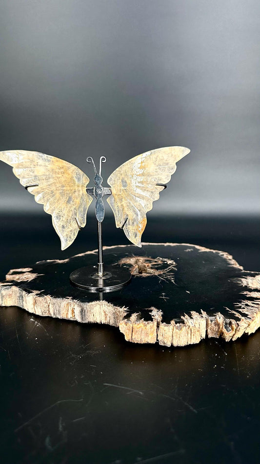 Golden Healer Quartz Butterfly – The Stone of Divine Healing & Illumination