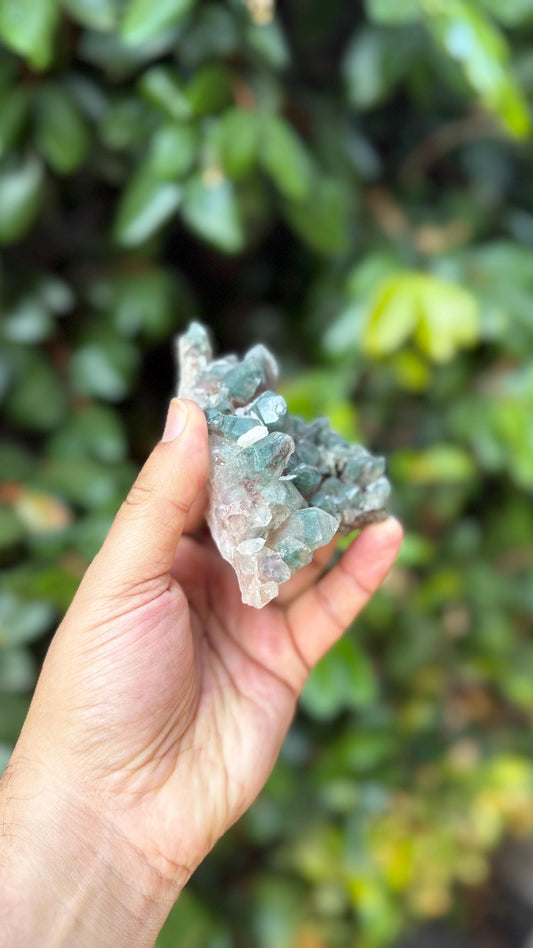 Rare Green Himalayan Quartz Cluster | Heart Chakra Healing Crystal