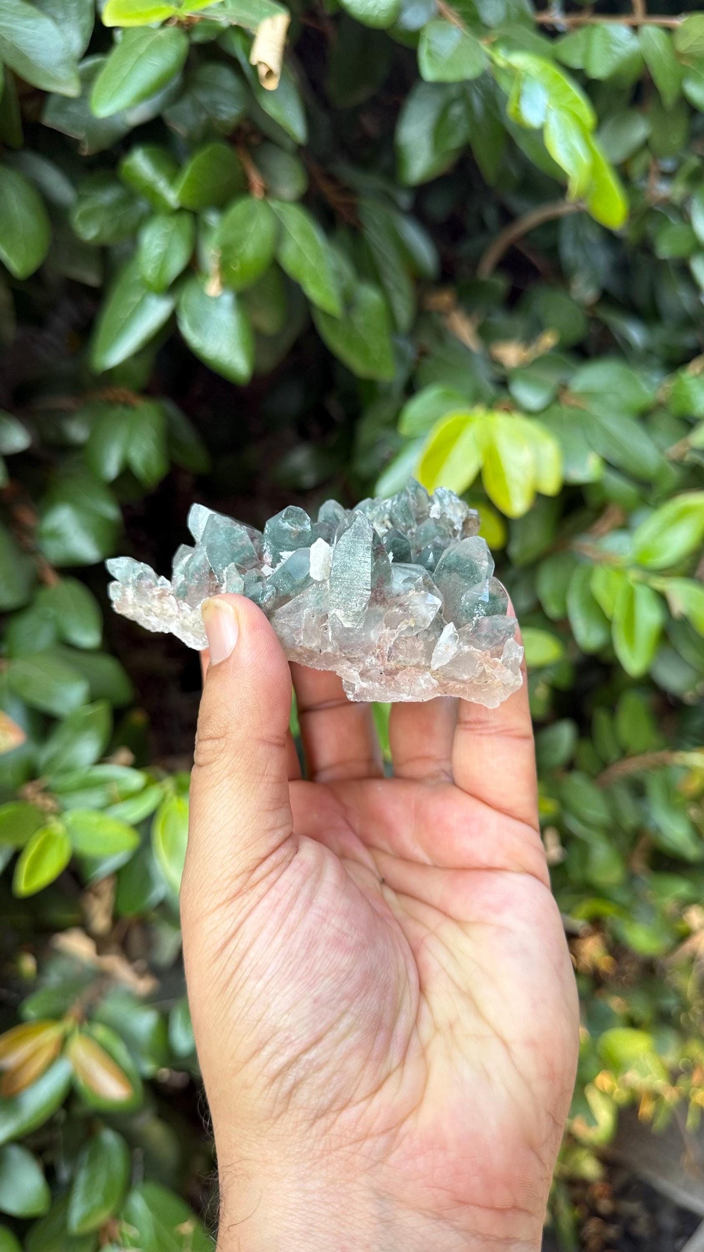 Rare Green Himalayan Quartz Cluster | Heart Chakra Healing Crystal