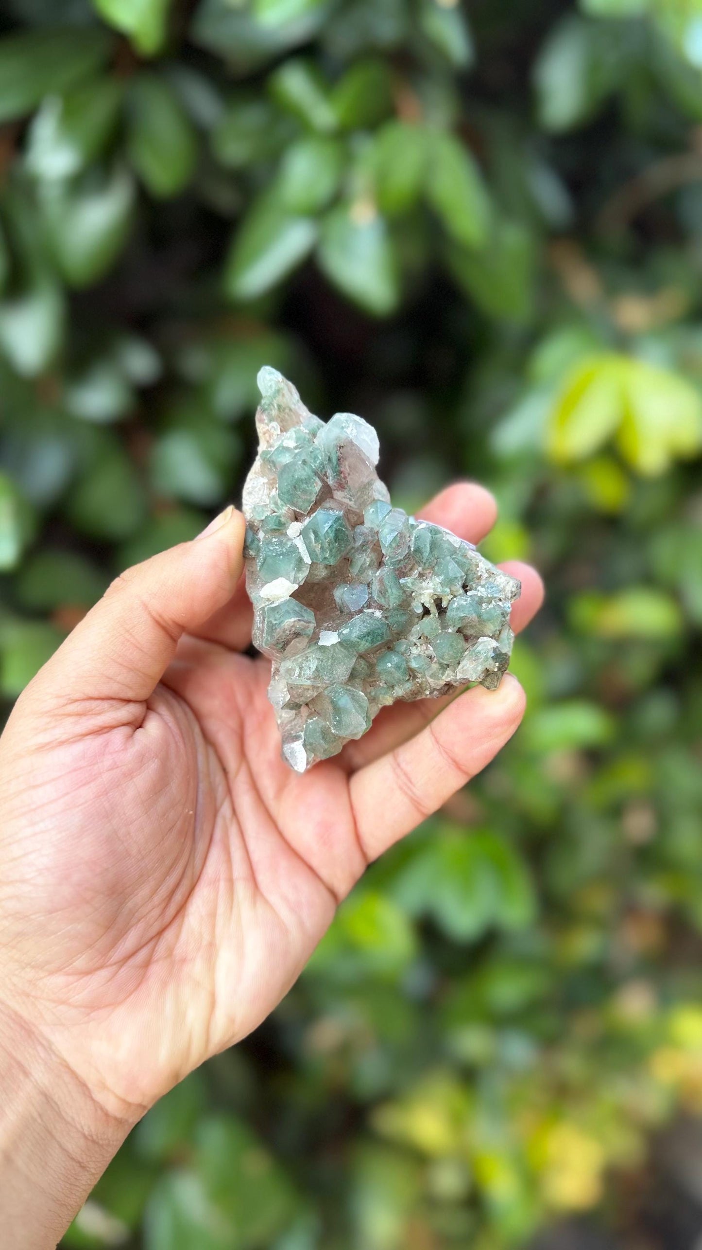 Rare Green Himalayan Quartz Cluster | Heart Chakra Healing Crystal