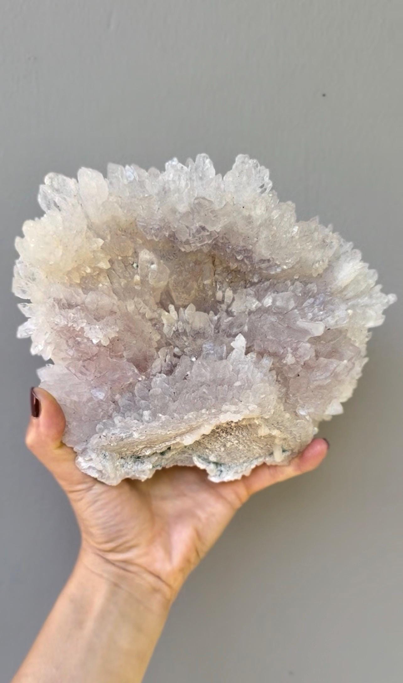 Flowering Amethyst Crystal Shell – Intuitive Protection Stone for Healing, Sleep, Clarity & Spiritual Growth