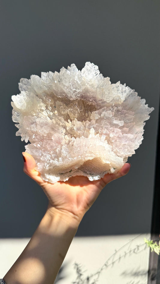 Flowering Amethyst Crystal Shell – Intuitive Protection Stone for Healing, Sleep, Clarity & Spiritual Growth