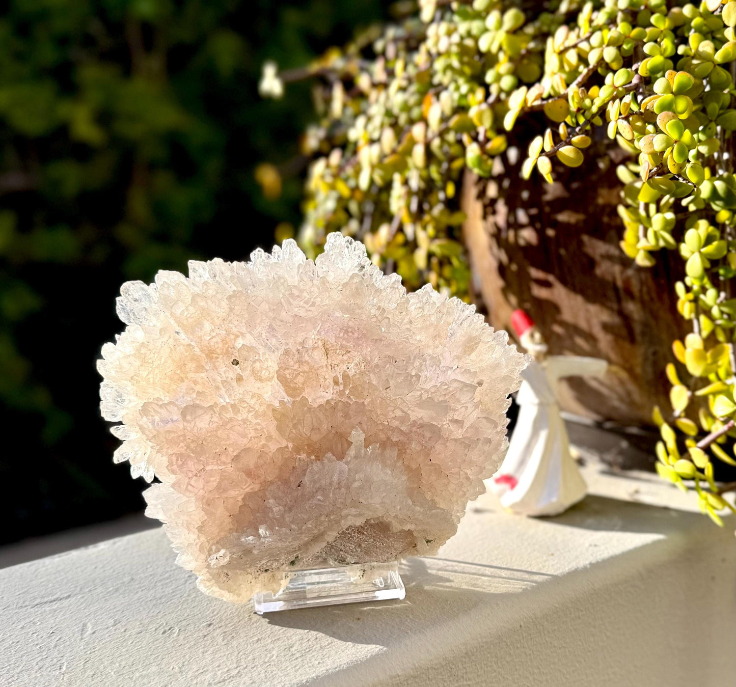 Flowering Amethyst Crystal Shell – Intuitive Protection Stone for Healing, Sleep, Clarity & Spiritual Growth