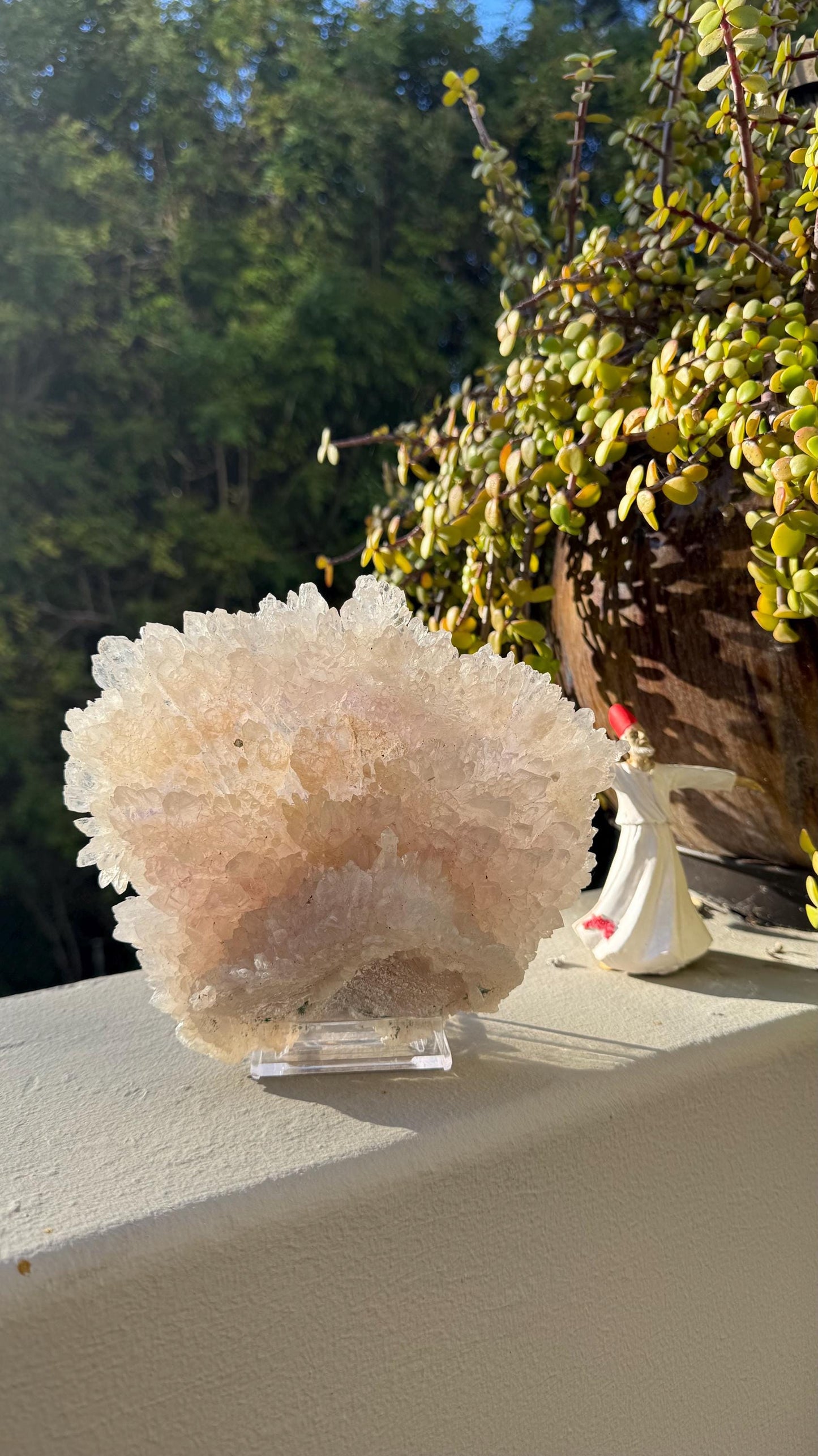 Flowering Amethyst Crystal Shell – Intuitive Protection Stone for Healing, Sleep, Clarity & Spiritual Growth