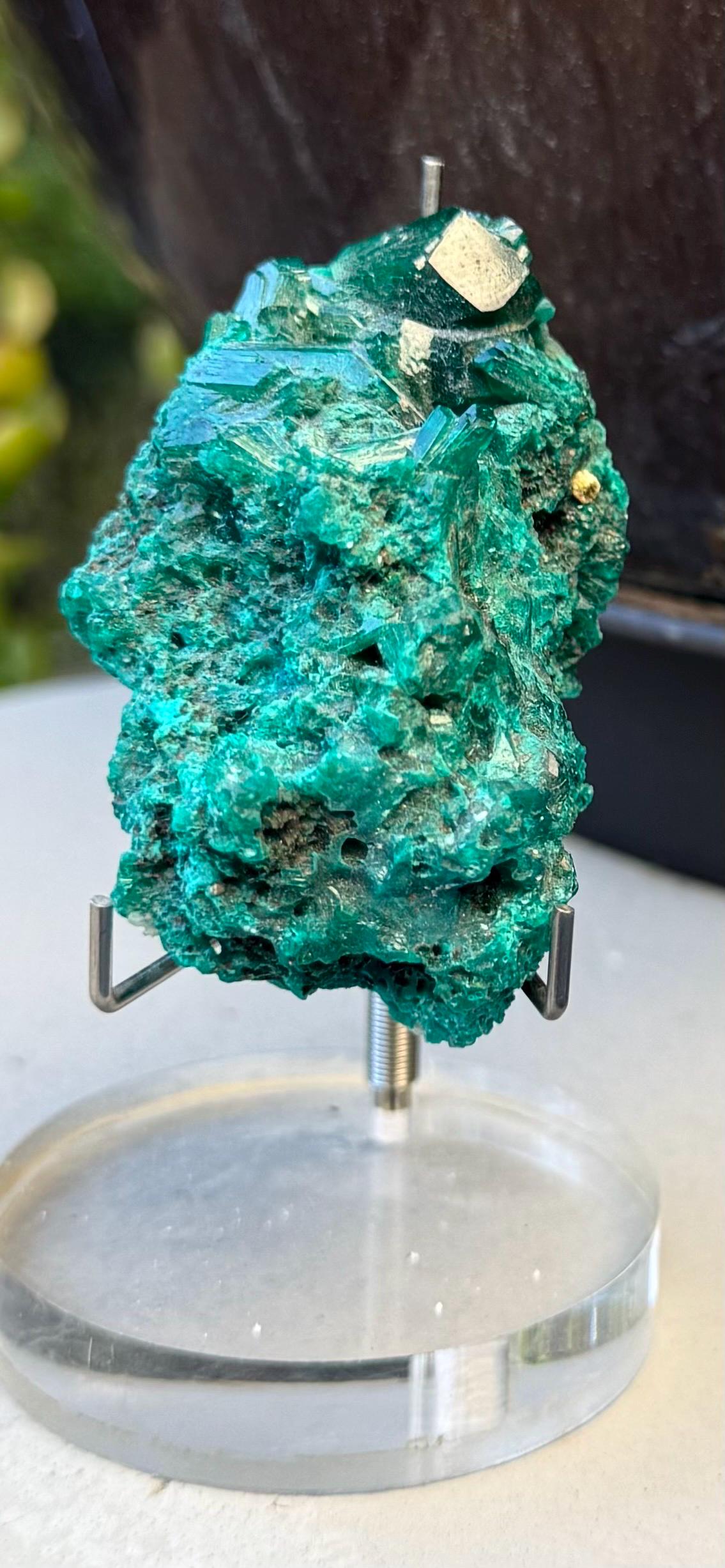 Dioptase Heart Healing Crystal • Emotional Detox • Forgiveness & Spiritual Growth Gem